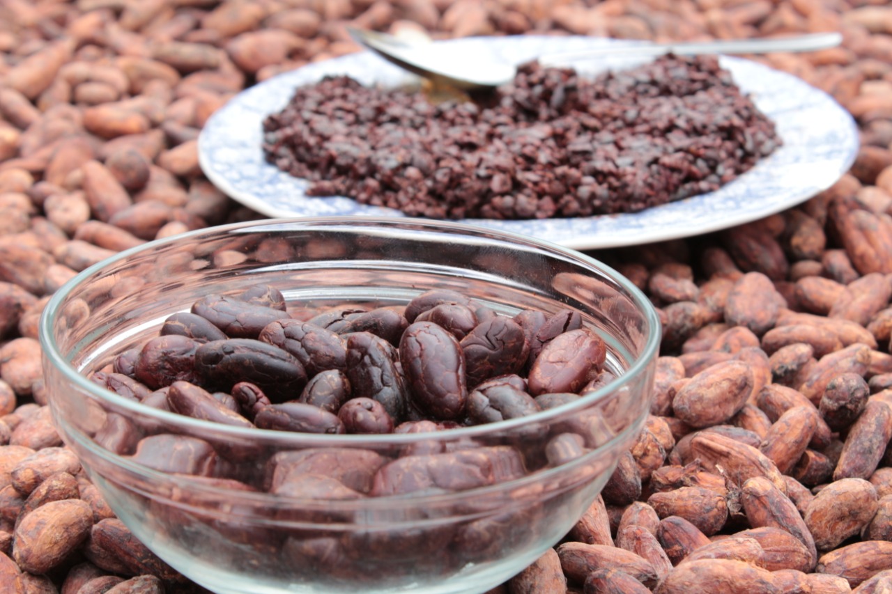 Compradores internacionales conocerán de manera virtual el cacao de 5 regiones de Colombia