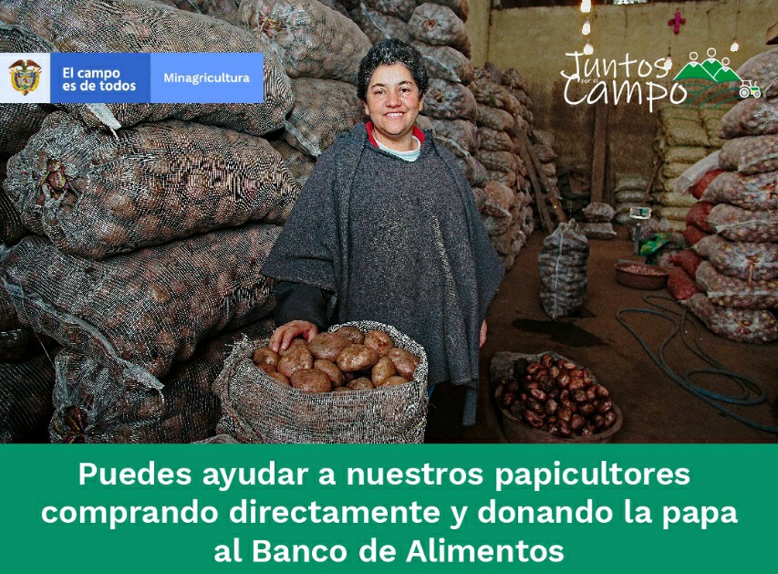 MinAgricultura y el Banco de Alimentos se unen para donar papa colombiana*