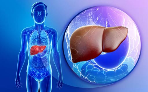 Un hígado no saludable puede desencadenar  en enfermedades severas.