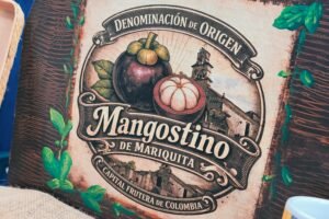 La denominación de origen del mangostino de Mariquita abre nuevas fronteras para el campo tolimense.