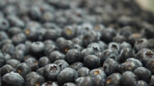 “Arándano Colombiano”, la nueva marca país que busca fortalecer el consumo y la identidad del producto nacional.