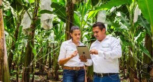 15 millones de colombianos ya sienten el impacto de la agricultura digital: tecnología en el agro redujo emisiones equivalentes a 5.296 hectáreas de bosque.