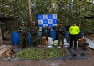 Destruidos cinco laboratorios de narcotráfico que financiaban al frente 44 en Vichada.