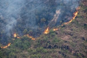 Contra el fuego y sus reactivaciones, el Tolima endurece la respuesta.