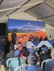MinAgricultura y papicultores acuerdan hoja de ruta para avanzar en una transformación productiva del cultivo de papa.